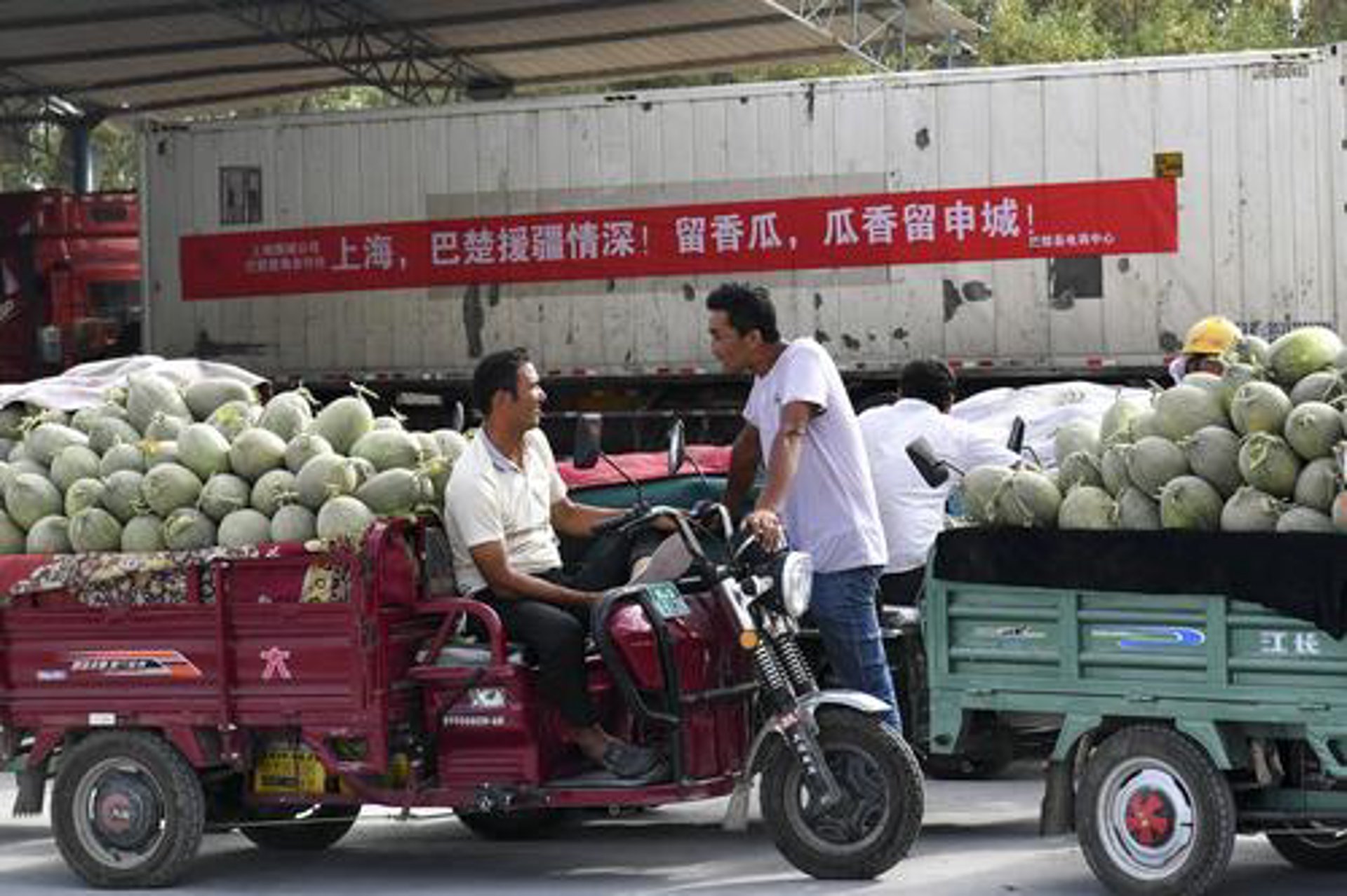 海南电商:数字经济新引擎